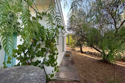 Ruïna a Ostuni, Brindisi, Ostuni - € 43.000 | Ref: Lamia Vite - foto 6